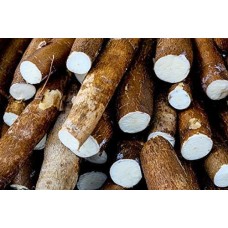 Fresh Cassava 1.5 KG - Product of Ghana