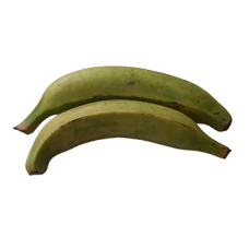 Fresh Half - Ripe Plantains - Pack of 12